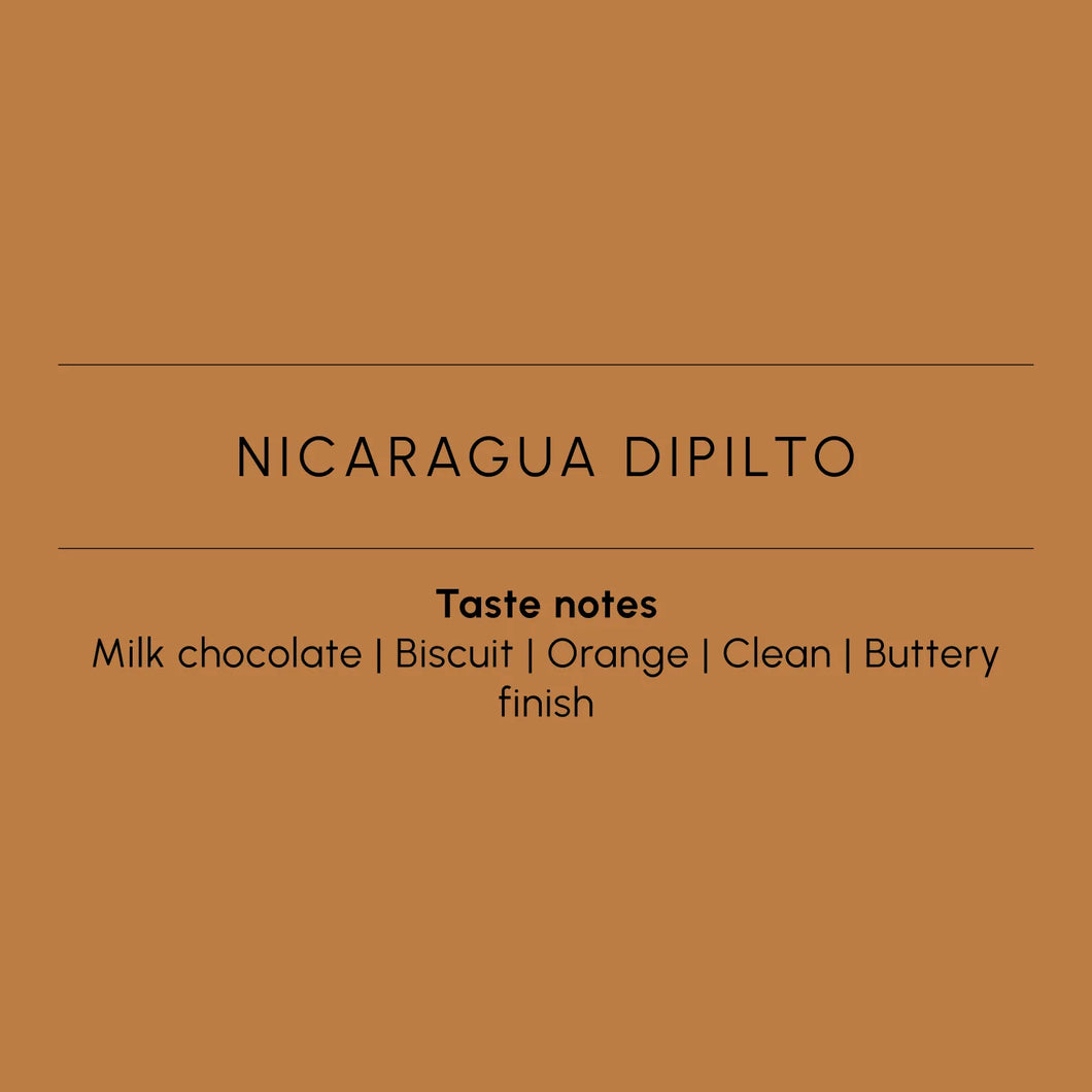 NICARAGUA DIPILTO